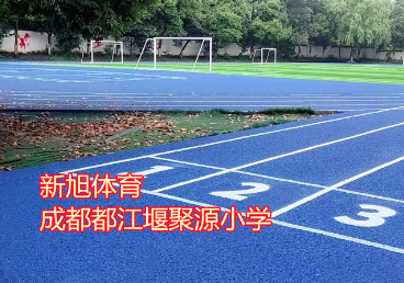 學校標準新國標藍色塑膠跑道