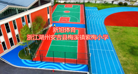 浙江學校塑膠跑道