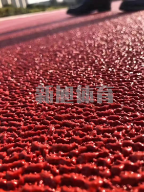 濟南自結紋塑膠跑道面層