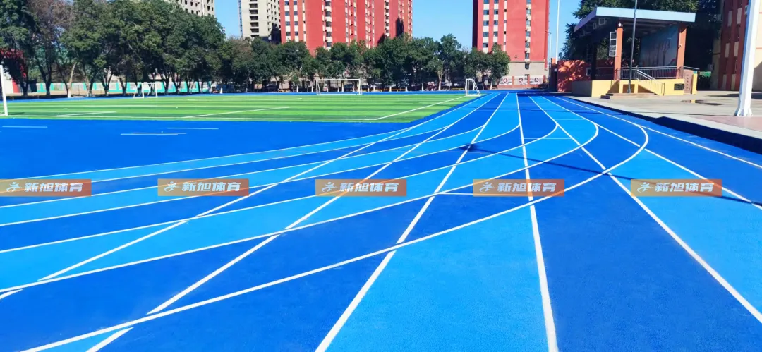 新疆全塑自結紋塑膠跑道完工